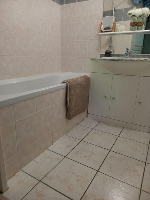 Le Doubs Cosy Apartment Besancon Exterior photo
